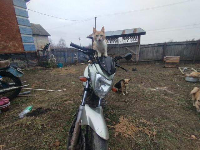 Вайпер Другая, объемом двигателя 0.2 л и пробегом 0 тыс. км за 831 $, фото 1 на Automoto.ua