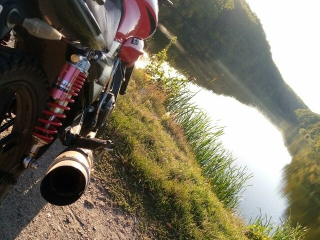 Вайпер Другая, объемом двигателя 0.15 л и пробегом 0 тыс. км за 544 $, фото 5 на Automoto.ua