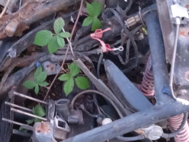 Вайпер Інша, об'ємом двигуна 80 л та пробігом 0 тис. км за 24 $, фото 2 на Automoto.ua