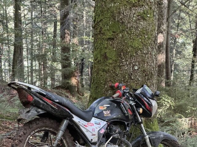 Вайпер Другая, объемом двигателя 0.2 л и пробегом 0 тыс. км за 700 $, фото 2 на Automoto.ua