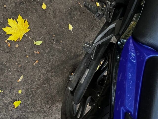 Вайпер Другая, объемом двигателя 0.2 л и пробегом 0 тыс. км за 906 $, фото 3 на Automoto.ua