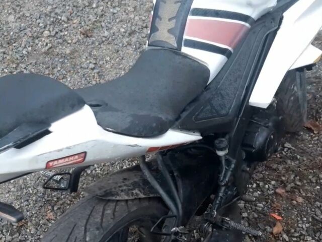 Вайпер Другая, объемом двигателя 0.25 л и пробегом 0 тыс. км за 592 $, фото 1 на Automoto.ua