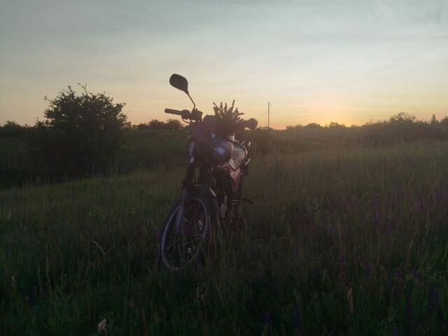 Вайпер Другая, объемом двигателя 0.13 л и пробегом 0 тыс. км за 662 $, фото 1 на Automoto.ua