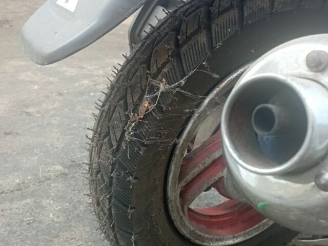 Вайпер Інша, об'ємом двигуна 80 л та пробігом 0 тис. км за 237 $, фото 4 на Automoto.ua