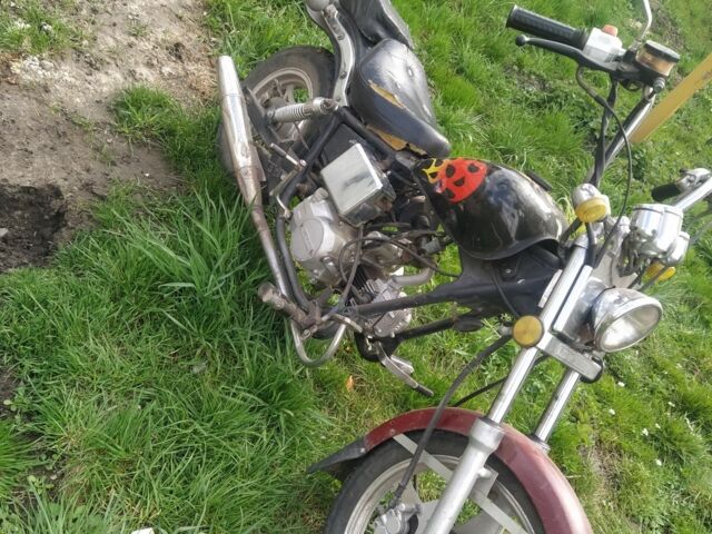 Вайпер Інша, об'ємом двигуна 50 л та пробігом 0 тис. км за 197 $, фото 3 на Automoto.ua