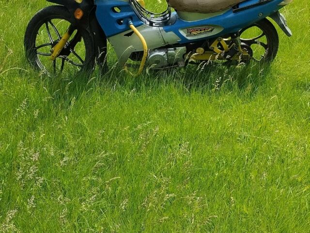 Вайпер Інша, об'ємом двигуна 72 л та пробігом 0 тис. км за 179 $, фото 1 на Automoto.ua