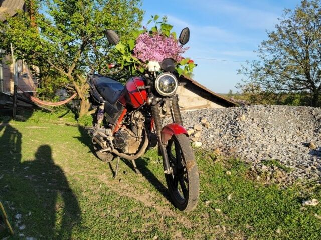 Вайпер Інша, об'ємом двигуна 0.15 л та пробігом 0 тис. км за 476 $, фото 1 на Automoto.ua