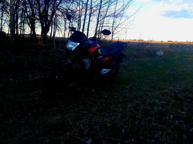 Вайпер Другая, объемом двигателя 0.15 л и пробегом 0 тыс. км за 568 $, фото 2 на Automoto.ua