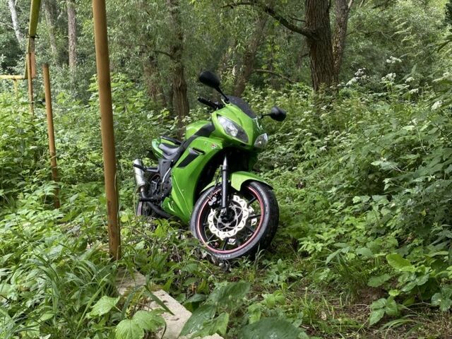 Вайпер Інша, об'ємом двигуна 0.2 л та пробігом 0 тис. км за 1250 $, фото 8 на Automoto.ua