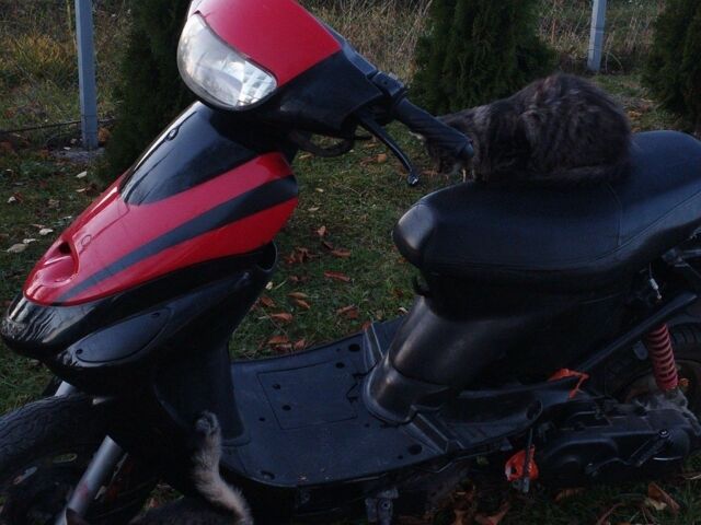 Вайпер Другая, объемом двигателя 80 л и пробегом 0 тыс. км за 300 $, фото 1 на Automoto.ua