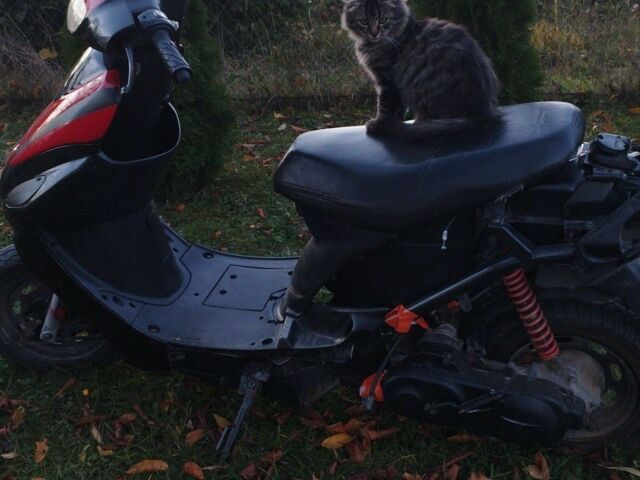 Вайпер Другая, объемом двигателя 80 л и пробегом 0 тыс. км за 300 $, фото 4 на Automoto.ua