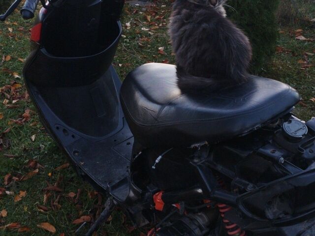 Вайпер Другая, объемом двигателя 80 л и пробегом 0 тыс. км за 300 $, фото 2 на Automoto.ua