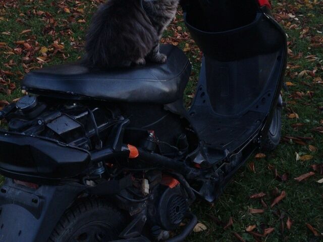 Вайпер Другая, объемом двигателя 80 л и пробегом 0 тыс. км за 300 $, фото 3 на Automoto.ua