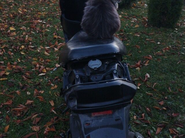 Вайпер Другая, объемом двигателя 80 л и пробегом 0 тыс. км за 300 $, фото 5 на Automoto.ua