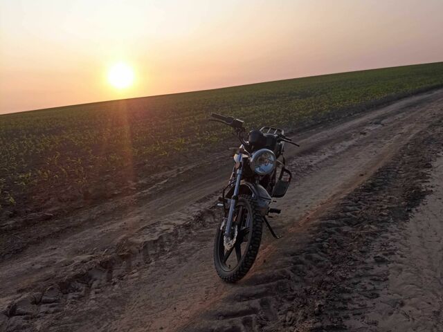 Вайпер Інша, об'ємом двигуна 0.15 л та пробігом 0 тис. км за 681 $, фото 4 на Automoto.ua