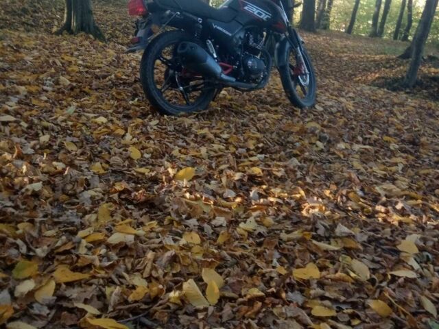 Вайпер Другая, объемом двигателя 0.2 л и пробегом 0 тыс. км за 1000 $, фото 5 на Automoto.ua