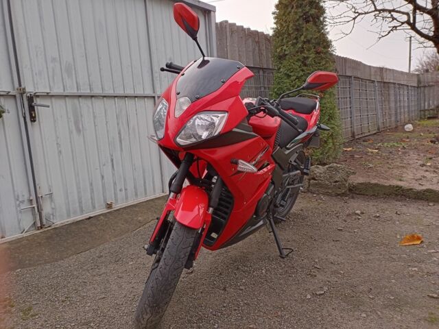 Вайпер VM200-10, об'ємом двигуна 0.2 л та пробігом 0 тис. км за 1448 $, фото 6 на Automoto.ua