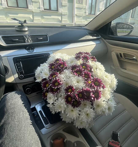 Серый Фольксваген CC / Passat CC, объемом двигателя 1.98 л и пробегом 210 тыс. км за 8800 $, фото 17 на Automoto.ua