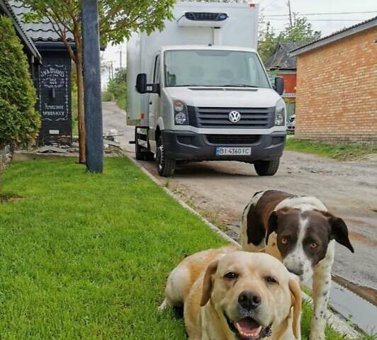 Фольксваген Крафтер 2013 в Виннице на Automoto.ua Белый Фольксваген Крафтер, объемом двигателя 1.97 л и пробегом 192 тыс. км за 18200 $, фото 7 на Automoto.ua