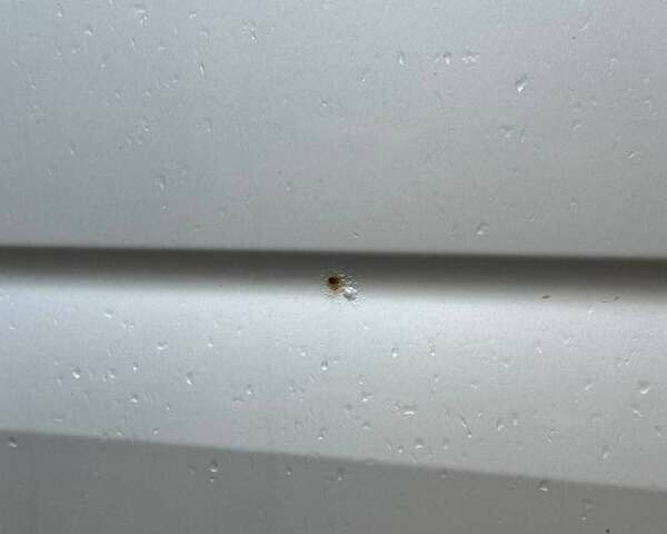 Сірий Фольксваген Крафтєр, об'ємом двигуна 1.97 л та пробігом 240 тис. км за 25000 $, фото 17 на Automoto.ua