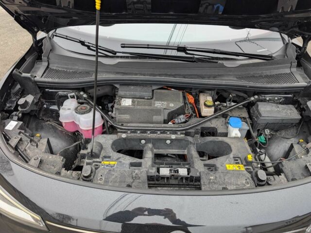 Чорний Фольксваген Інша, об'ємом двигуна 0 л та пробігом 4 тис. км за 35000 $, фото 14 на Automoto.ua