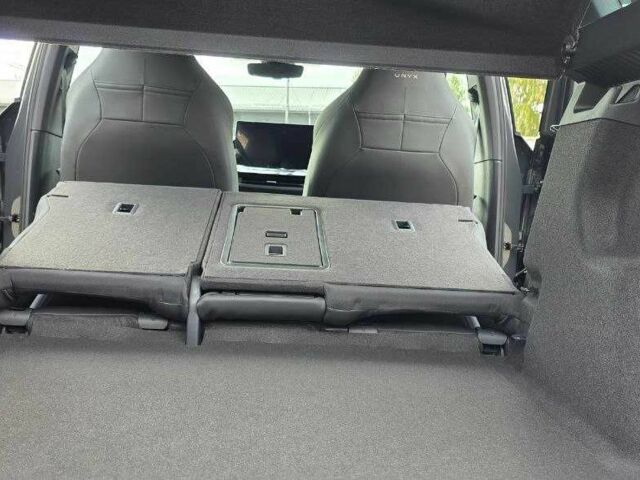 Черный Фольксваген Другая, объемом двигателя 0 л и пробегом 1 тыс. км за 29000 $, фото 7 на Automoto.ua