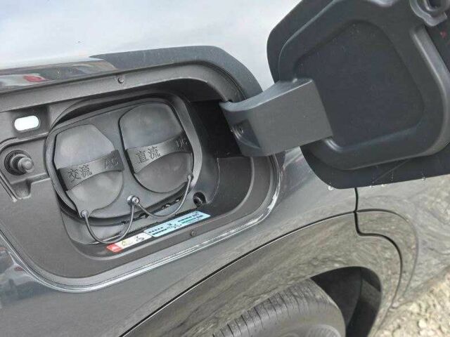 Черный Фольксваген Другая, объемом двигателя 0 л и пробегом 1 тыс. км за 29000 $, фото 13 на Automoto.ua