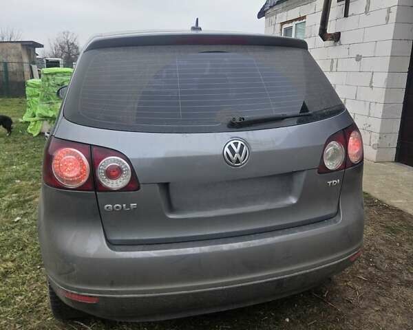 Сірий Фольксваген Golf Plus, об'ємом двигуна 1.9 л та пробігом 320 тис. км за 6000 $, фото 1 на Automoto.ua