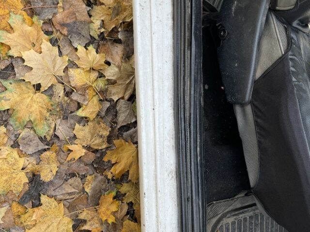 Білий Фольксваген Гольф, об'ємом двигуна 1.6 л та пробігом 300 тис. км за 800 $, фото 13 на Automoto.ua