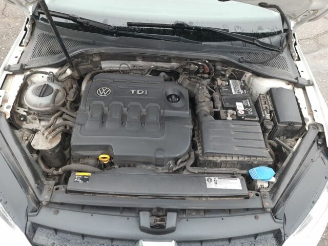 Білий Фольксваген Гольф, об'ємом двигуна 1.6 л та пробігом 244 тис. км за 8500 $, фото 18 на Automoto.ua