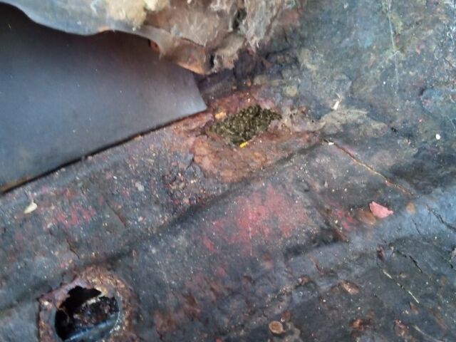 Фольксваген Гольф 1994 у Вышгороде на Automoto.ua Червоний Фольксваген Гольф, об'ємом двигуна 0 л та пробігом 100 тис. км за 642 $, фото 7 на Automoto.ua