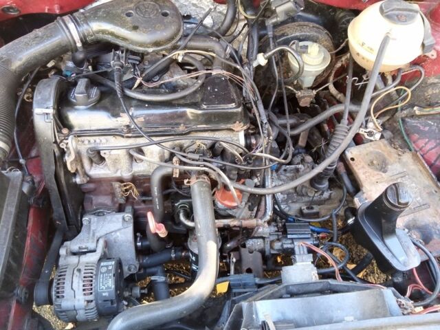 Фольксваген Гольф 1994 у Вышгороде на Automoto.ua Червоний Фольксваген Гольф, об'ємом двигуна 0 л та пробігом 100 тис. км за 642 $, фото 3 на Automoto.ua