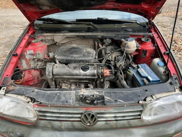 Красный Фольксваген Гольф, объемом двигателя 0 л и пробегом 24 тыс. км за 799 $, фото 14 на Automoto.ua