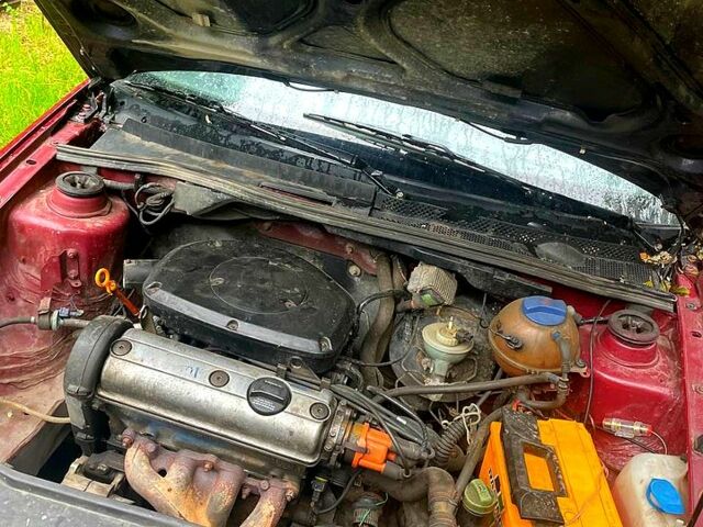 Красный Фольксваген Гольф, объемом двигателя 1.4 л и пробегом 264 тыс. км за 2000 $, фото 9 на Automoto.ua