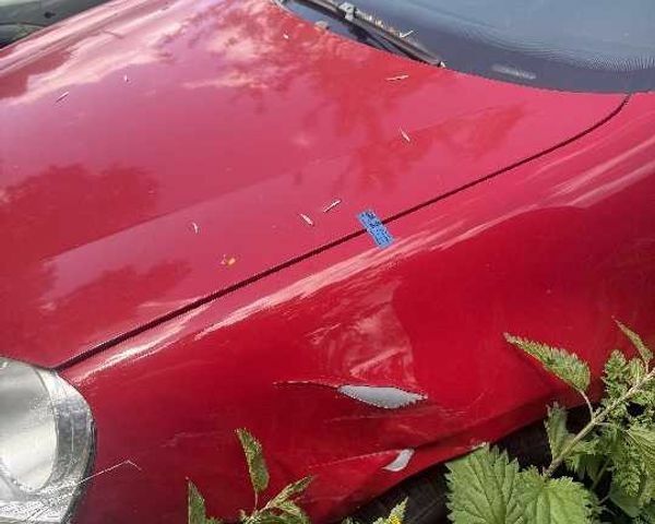 Красный Фольксваген Гольф, объемом двигателя 1.6 л и пробегом 200 тыс. км за 144769 $, фото 2 на Automoto.ua