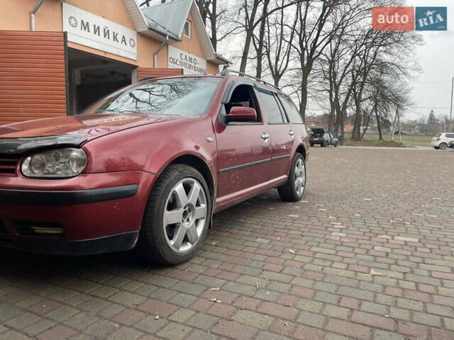 Фольксваген Гольф 1999 в Черновцах на Automoto.ua Красный Фольксваген Гольф, объемом двигателя 1.6 л и пробегом 313 тыс. км за 3500 $, фото 1 на Automoto.ua