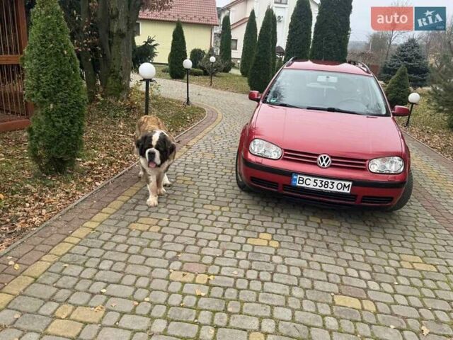 Красный Фольксваген Гольф, объемом двигателя 1.6 л и пробегом 186 тыс. км за 4350 $, фото 30 на Automoto.ua