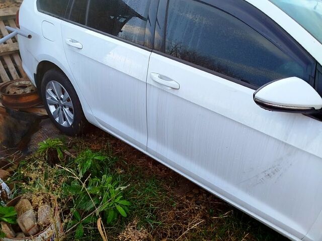 Фольксваген Гольф, объемом двигателя 1.6 л и пробегом 280 тыс. км за 5500 $, фото 1 на Automoto.ua