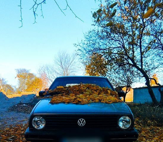 Сірий Фольксваген Гольф, об'ємом двигуна 1.6 л та пробігом 365 тис. км за 1300 $, фото 9 на Automoto.ua