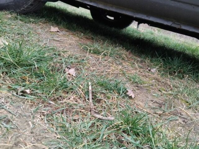 Серый Фольксваген Гольф, объемом двигателя 1.8 л и пробегом 310 тыс. км за 2300 $, фото 8 на Automoto.ua