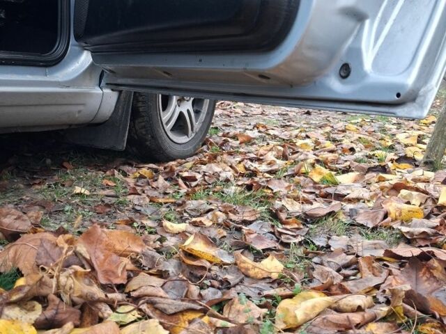 Серый Фольксваген Гольф, объемом двигателя 1.4 л и пробегом 262 тыс. км за 2500 $, фото 15 на Automoto.ua