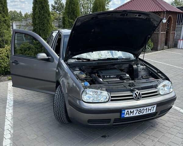 Серый Фольксваген Гольф, объемом двигателя 1.4 л и пробегом 270 тыс. км за 3900 $, фото 20 на Automoto.ua