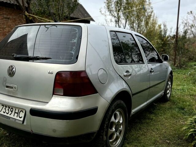 Фольксваген Гольф 1999 в Береговом на Automoto.ua Серый Фольксваген Гольф, объемом двигателя 1.6 л и пробегом 177 тыс. км за 3400 $, фото 1 на Automoto.ua