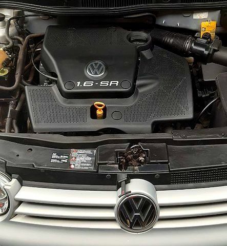 Сірий Фольксваген Гольф, об'ємом двигуна 1.6 л та пробігом 201 тис. км за 3800 $, фото 3 на Automoto.ua