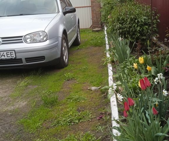 Сірий Фольксваген Гольф, об'ємом двигуна 1.6 л та пробігом 270 тис. км за 4500 $, фото 1 на Automoto.ua