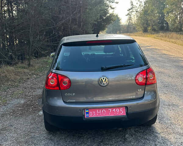 Сірий Фольксваген Гольф, об'ємом двигуна 1.6 л та пробігом 250 тис. км за 6799 $, фото 13 на Automoto.ua
