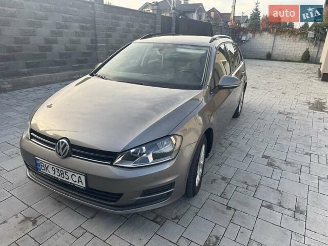 Серый Фольксваген Гольф, объемом двигателя 1.6 л и пробегом 230 тыс. км за 9500 $, фото 11 на Automoto.ua
