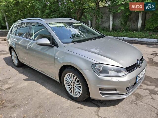 Серый Фольксваген Гольф, объемом двигателя 1.6 л и пробегом 250 тыс. км за 10600 $, фото 6 на Automoto.ua