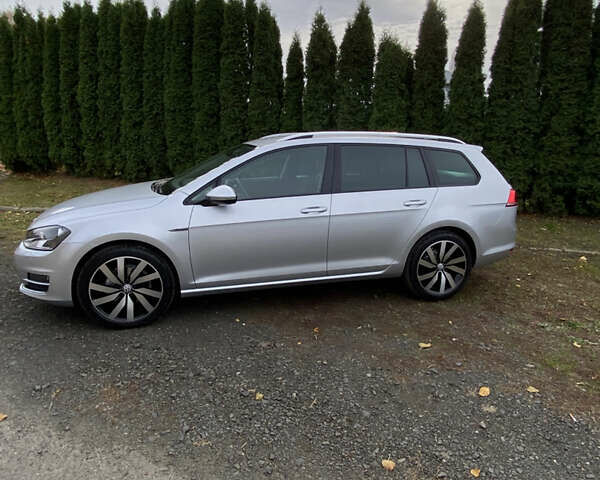 Серый Фольксваген Гольф, объемом двигателя 1.6 л и пробегом 237 тыс. км за 12200 $, фото 2 на Automoto.ua