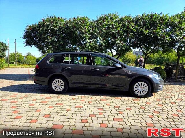 Серый Фольксваген Гольф, объемом двигателя 1.6 л и пробегом 239 тыс. км за 11900 $, фото 3 на Automoto.ua